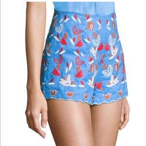 Amur, Linen Demi Blue Floral Embroidered Shorts, Size 2, No Sign of Wear